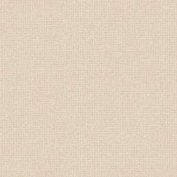 ���� Alessandro Allori Bruni RBN 1005-6