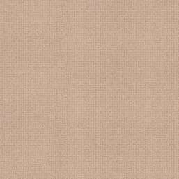 ���� Alessandro Allori Bruni RBN 1005-7