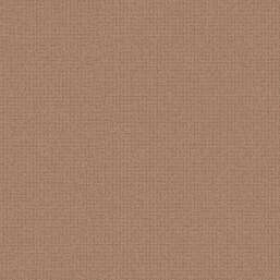 ���� Alessandro Allori Bruni RBN 1005-8