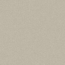 ���� Alessandro Allori Bruni RBN 1005-11