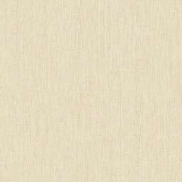 ���� Alessandro Allori Giorgio RGI 1002-6