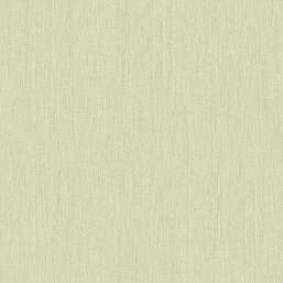 ���� Alessandro Allori Giorgio RGI 1002-10