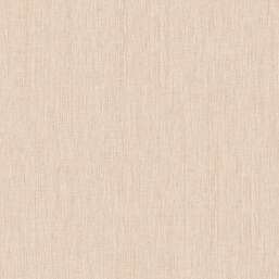 ���� Alessandro Allori Giorgio RGI 1002-13