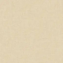  Alessandro Allori Giorgio RGI1004-8