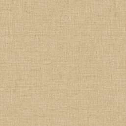 ���� Alessandro Allori Giorgio RGI1004-9