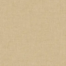  Alessandro Allori Giorgio RGI1004-9