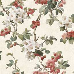 ���� Alessandro Allori Giorgio RGI1005-3