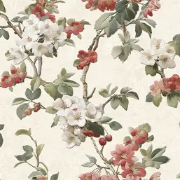  Alessandro Allori Giorgio RGI1005-3