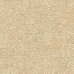 ���� Alessandro Allori Giorgio RGI1006-8