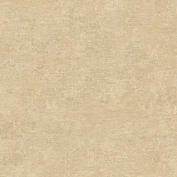  Alessandro Allori Giorgio RGI1006-8