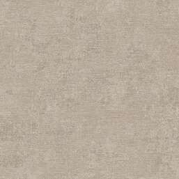 ���� Alessandro Allori Giorgio RGI1006-11