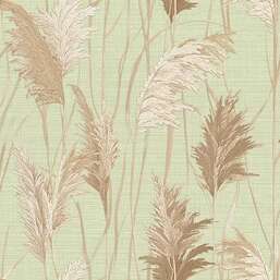 ���� Alessandro Allori Giorgio RGI1009-5