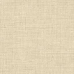 ���� Alessandro Allori Giorgio RGI1010-8