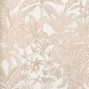  Alessandro Allori Provasi RST2501-2 -  1