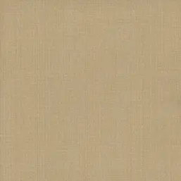  Andrea Rossi Razzoli 54180-5