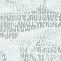  Andrea Rossi Razzoli 54186-1