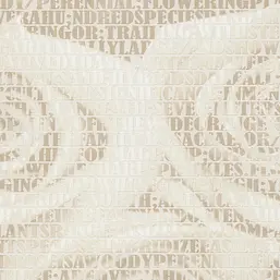  Andrea Rossi Razzoli 54186-2