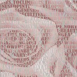  Andrea Rossi Razzoli 54186-3