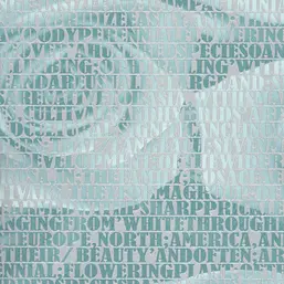  Andrea Rossi Razzoli 54186-4