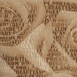  Andrea Rossi Razzoli 54186-5