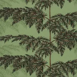  Andrea Rossi Razzoli 54190-5