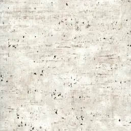  Andrea Rossi Sicily 54197-2