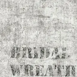  Andrea Rossi Sicily 54204-2