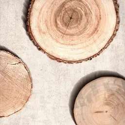  Andrea Rossi Sicily 54206-1