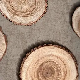  Andrea Rossi Sicily 54206-3