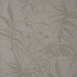  Andrea Rossi Berggi 54446-2