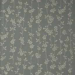  Andrea Rossi Berggi 54451-7