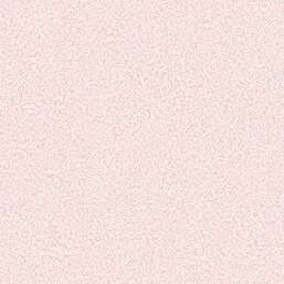 ���� Andrea Rossi Bocca 54488-8