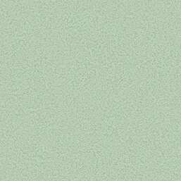 ���� Andrea Rossi Bocca 54488-11