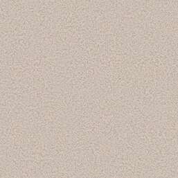 ���� Andrea Rossi Bocca 54488-15