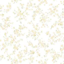 ���� Andrea Rossi Bocca 54489-1 