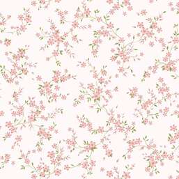 ���� Andrea Rossi Bocca 54489-3 