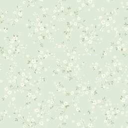 ���� Andrea Rossi Bocca 54489-4