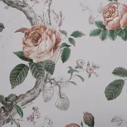  Andrea Rossi Cavolli 54421-2