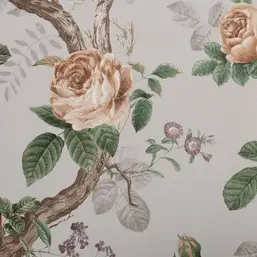  Andrea Rossi Cavolli 54421-6
