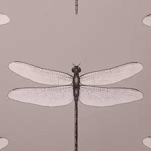 Обои Andrea Rossi Cavolli 54426-4 - фото 1