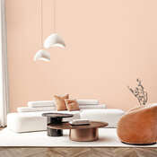 ���� Andrea Rossi Spectrum Boom 54480-6 - ���� 24