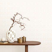 ���� Andrea Rossi Spectrum Boom 54480-6 - ���� 15