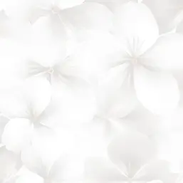  Andrea Rossi Spectrum Boom 54483-1