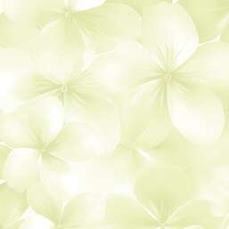 ���� Andrea Rossi Spectrum Boom 54483-5