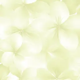  Andrea Rossi Spectrum Boom 54483-5