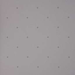  Andrea Rossi Spectrum Box 54454-21