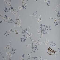 ���� Andrea Rossi Spectrum Box DSC07508