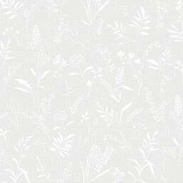 ���� Andrea Rossi Spectrum Just 54474-2