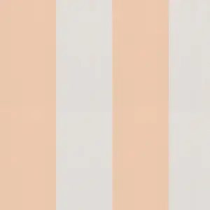  Andrea Rossi Spectrum Max 54364-12 -  1
