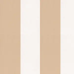  Andrea Rossi Spectrum Max 54364-14 -  1